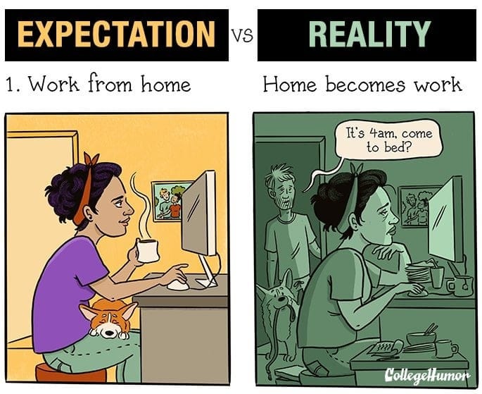 The image is a meme comparing "EXPECTATION" vs "REALITY" of working from home.

- Expectation: A cartoon of a person working from home in a somewhat tidy setup with a cat peeking from under the chair. They're wearing casual clothes and sipping coffee.
- Reality: A cartoon of the same person working at 4 AM in a messy room with dirty dishes and a dog nearby. A person (likely a partner) is asking them to come to bed.