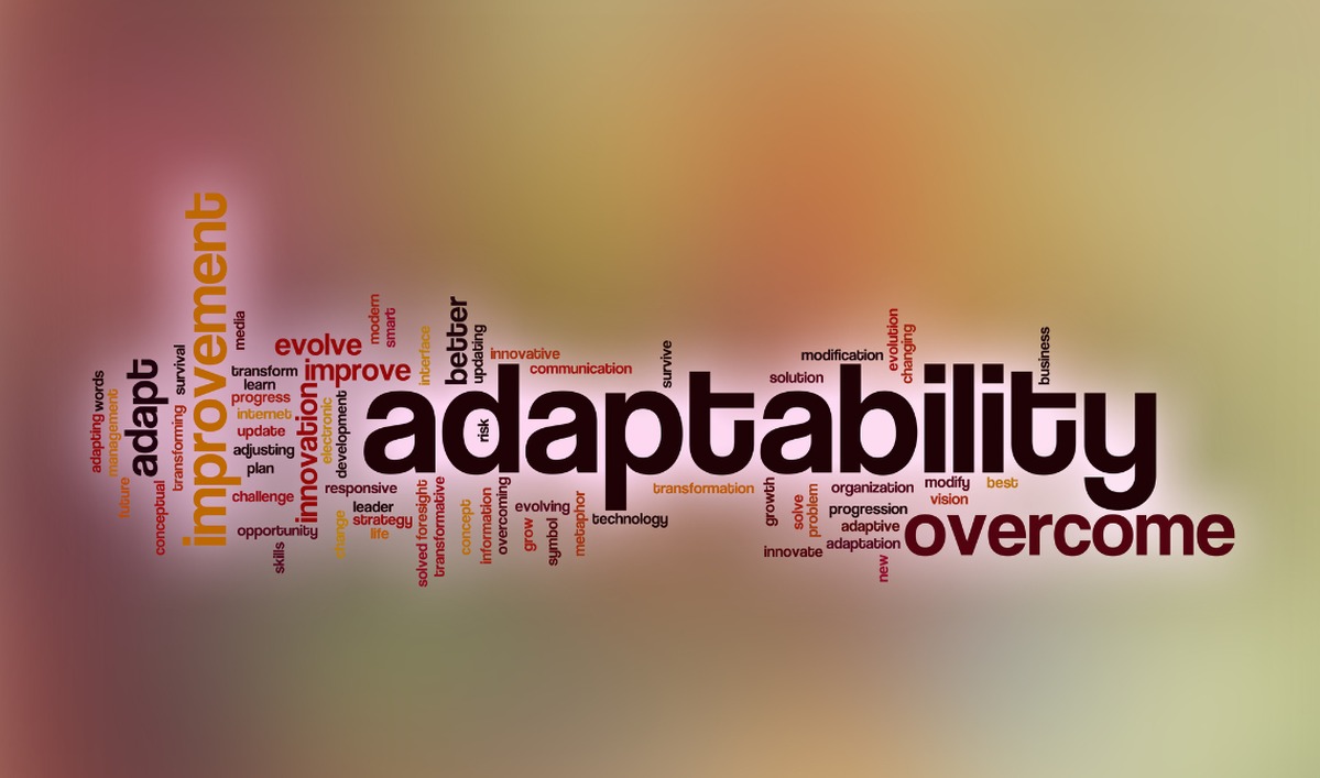 Why global companies prefer candidates with adaptability